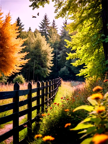 pasture fence,wooden fence,fenceline,autumn frame,fence posts,fence,white picket fence,the fence,fences,fenceposts,wood fence,one autumn afternoon,autumn background,round autumn frame,fall landscape,fence gate,autumn scenery,farm gate,late summer,garden fence,Illustration,Realistic Fantasy,Realistic Fantasy 47