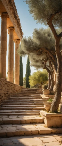 peristyle,italica,temple of diana,greek temple,agrigento,artemis temple,segesta,panagora,leptis,palace of knossos,pillars,gennadius,pergola,colonnades,panathenaic,roman temple,ancient city,paestum,ancient olympia,knossos,Illustration,Retro,Retro 23