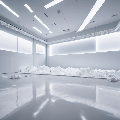 white room,cleanrooms,cleanroom,cold room,whitespace,futuristic art museum,whiteouts,white space,sky space concept,whiteout,studio ice,ice wall,wenxian,artificial ice,snowhotel,mithraeum,white turf,jotunheim,ice planet,tunheim,Photography,General,Realistic
