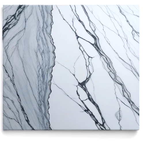 marble painting,marble texture,angiograms,veining,crevasses,nitinol,ice landscape,striae,hyphae,capillary,capillaries,neurons,marble pattern,vasculature,angiography,marble,fibers,frame drawing,vascularization,microfibers,Conceptual Art,Oil color,Oil Color 13