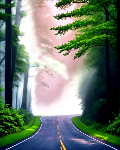 forest road,mountain road,open road,road,long road,the road,mountain highway,winding road,roads,country road,road to nowhere,straight ahead,road forgotten,winding roads,racing road,backroads,backroad,road of the impossible,empty road,cartoon video game background,Illustration,Realistic Fantasy,Realistic Fantasy 05