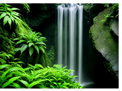 green waterfall,nature wallpaper,nature background,green wallpaper,a small waterfall,tropical forest,aaaa,water fall,verdant,waterfall,windows wallpaper,cascada,patrol,aaa,cascading,background view nature,water flowing,rain forest,rainforest,waterval,Photography,Black and white photography,Black and White Photography 12