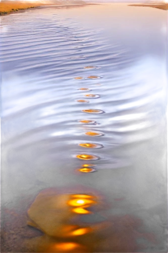 sand ripples,ripples,rippling,rippled,reflection of the surface of the water,reflections in water,reflection in water,sun reflection,water reflection,golden sands,wavelets,waterscape,surface tension,water surface,morningtide,light reflections,sand waves,reflectional,water scape,water waves,Conceptual Art,Daily,Daily 27