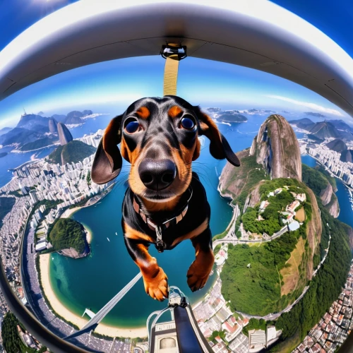 lensball,superdog,beagle,pinscher,rio,skywalking,stereographic,little planet,photosphere,flying dog,flying dogs,redentor,paraglider,skycycle,skyjacking,capoeirista,roistacher,fisheye,paraglider lou,paragliding,Photography,General,Realistic