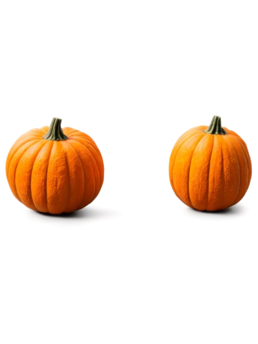 decorative pumpkins,mini pumpkins,pumpkins,pumpkin heads,pumpkin lantern,autumn pumpkins,neon pumpkin lantern,halloween pumpkins,striped pumpkins,garrison,pumkins,calabaza,funny pumpkins,calabashes,halloween pumpkin,pumpkin,calabazas,pumpkin autumn,decorative squashes,halloween background,Illustration,Vector,Vector 08