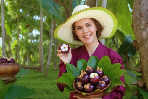 egg plant,mangosteens,orquera,mangosteen,purple mangosteen,hyacinth,cocos nucifera,cacao,fairtrade,coconut fruit,pearl hyacinth,cocoa beans,morada,organic coconut,hyacinthus,mucuna,citrifolia,maracas,artocarpus,mayabeque,Photography,General,Realistic