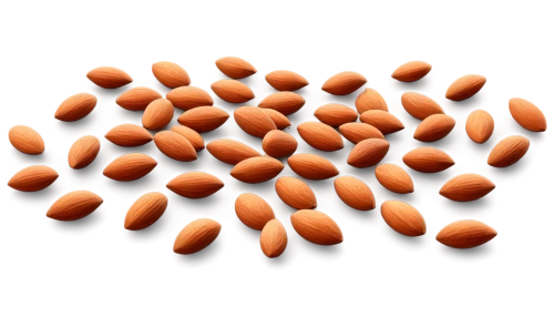 softgel capsules,gel capsules,pellets,apolipoprotein,care capsules,capsules,microkernels,microcapsules,unshelled almonds,fish oil capsules,isolated product image,legumes,kernels,levonorgestrel,lutein,ibuprofen,procyanidins,pine nuts,gel capsule,seeds,Illustration,Vector,Vector 13
