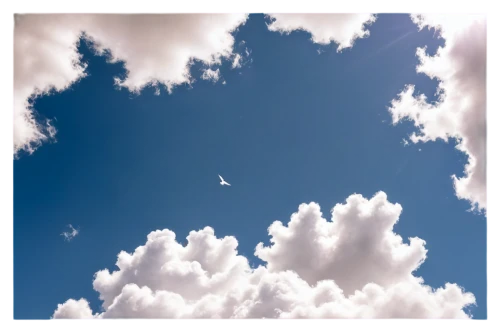 cloud image,skydrive,cloud shape frame,sky,skystream,blue sky clouds,bird in the sky,sky butterfly,skyscape,sailplane,clouds - sky,skydiver,blue sky and clouds,skywards,blue sky and white clouds,sky clouds,flightpath,cloudbase,himlen,overflew,Conceptual Art,Sci-Fi,Sci-Fi 25