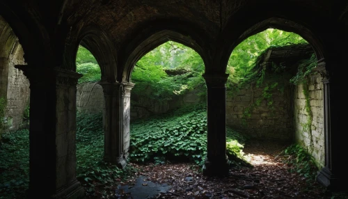 cloisters,cloister,batsford,grotto,archways,mirosternus,abbaye,abbaye de belloc,nunery,michel brittany monastery,forest chapel,ruins,alcove,undercroft,priory,crypt,asarum,ruin,vaulted cellar,buttresses,Photography,Documentary Photography,Documentary Photography 25