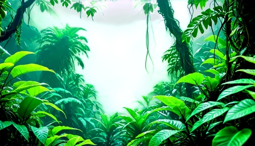 tropical forest,philodendrons,rainforest,rain forest,rainforests,jungles,tropical jungle,green forest,jungle,verdant,banana trees,palm forest,cartoon video game background,jungly,tropical greens,ferns,gondwanaland,neotropical,vegetation,forest background,Conceptual Art,Sci-Fi,Sci-Fi 28