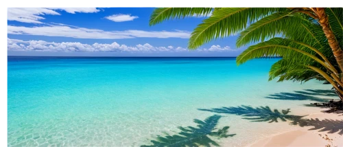 caribbean sea,caribbean,cook islands,caribbean beach,the caribbean,antilles,cayard,bahamas,bahamian,bahama,grenadines,tropical beach,tropical sea,tobago,rarotonga,french polynesia,cayo coco,caymans,guadeloupe,abacos,Illustration,Realistic Fantasy,Realistic Fantasy 04