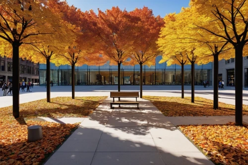 apple store,the trees in the fall,julliard,macalester,bunshaft,autumn park,schulich,trees in the fall,autumn in the park,juilliard,fall foliage,maple shadow,fall landscape,njitap,vmfa,autumn scenery,autumn trees,autumn background,school design,museumsquartier,Art,Artistic Painting,Artistic Painting 27