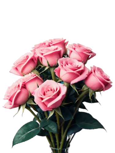 pink roses,flowers png,pink rose,rose png,mini roses pink,romantic rose,flower background,flower wallpaper,rose roses,rose pink colors,pink floral background,rosas,rosses,noble roses,pink flowers,sugar roses,flower rose,rose arrangement,spray roses,artificial flower,Conceptual Art,Sci-Fi,Sci-Fi 29