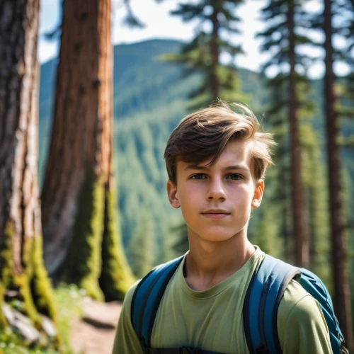 forest background,free wilderness,atreus,nature and man,forest man,survivorman,silviculture,perleberg,weyerhaeuser,coniferous forest,nicaise,maxence,pct,froy,scoutmaster,giftedness,wunderkind,wildernesses,ephram,wilderness,Photography,General,Realistic