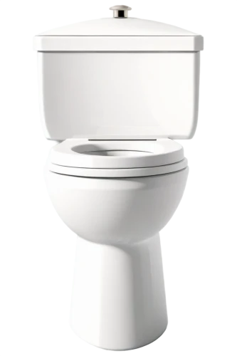 toilet,washlet,commodes,toilet seat,toilet table,bidet,wc,basin,crapper,latrine,toileting,potty,defecate,banyo,poo,loo,urinal,bowel,disabled toilet,bladder,Photography,Documentary Photography,Documentary Photography 24