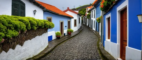 paraty,rua,olinda,the cobbled streets,azorean,azores,tiradentes,zipaquira,narrow street,culross,obidos,maceira,alentejo,row of houses,cobblestones,the azores,funchal,cobbled,penafiel,townscapes,Illustration,Realistic Fantasy,Realistic Fantasy 29