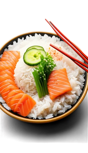 japanese cuisine,salmon roll,japanese food,salmon fillet,asian cuisine,sashimi,bowl of rice,rice with seafood,donburi,japanese meal,salmon,asian food,mystic light food photography,sushi roll images,food photography,jasmine rice,sush,tatsushi,shimi,raw fish,Illustration,Retro,Retro 17