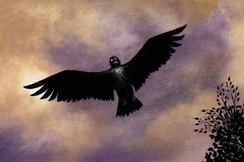 black crow,black vulture,nevermore,raven bird,black raven,corvus corax,black bird,corvid,corvus,magpie,crow in silhouette,eagle illustration,bird illustration,corvidae,king of the ravens,crow,pied crow,microraptor,carrion crow,nocturnal bird,Illustration,Realistic Fantasy,Realistic Fantasy 33