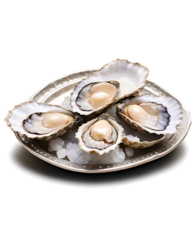 oyster,bivalve,oysters,talaba,sea shell,bivalves,oester,brooch,abalone,clamshells,calvisius,moonstone,clam shell,shucked,oysterman,oystermen,agate,3d render,clam,geode,Art,Artistic Painting,Artistic Painting 09