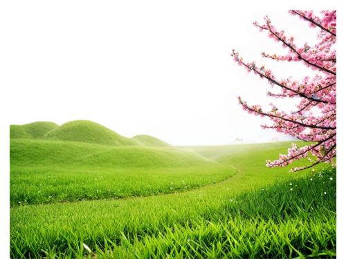 spring background,landscape background,nature background,spring leaf background,springtime background,green landscape,green background,background view nature,green wallpaper,pink green,aaaa,3d background,nature wallpaper,flower background,background vector,easter background,moss landscape,meadow landscape,background colorful,greenness,Illustration,Realistic Fantasy,Realistic Fantasy 10