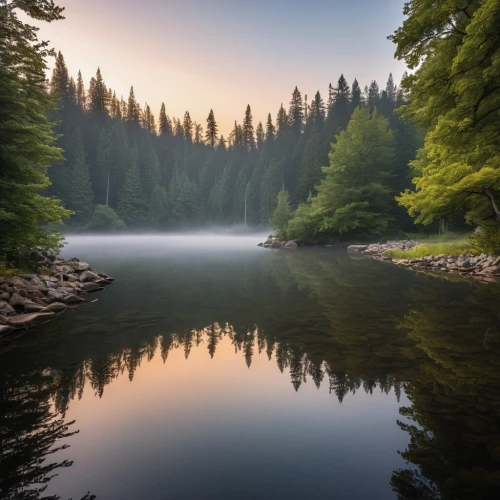 river landscape,nature wallpaper,calm water,mountain river,nature background,forest lake,tranquility,mckenzie river,beautiful lake,calm waters,calmness,green trees with water,germany forest,bavarian forest,beautiful landscape,northern black forest,umpqua,evening lake,freshwater,nature landscape,Photography,General,Realistic