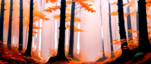 autumn forest,autumn background,autumn frame,foggy forest,forest,forest background,forests,deciduous forest,autumn trees,mixed forest,autumn scenery,forest landscape,coniferous forest,wooded,fall landscape,autumn fog,forest of dreams,autumn landscape,haunted forest,fallen leaves,Conceptual Art,Oil color,Oil Color 04