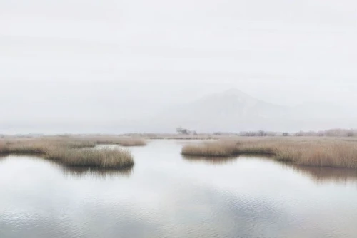 salt marsh,marshes,the wadden sea,wadden sea,alviso,marshland,saltmarshes,marshlands,wadden,estuary,reeds wintry,estuaries,steveston,orfordness,romney marsh,saltmarsh,marshack,foggy landscape,minsmere,biesbosch