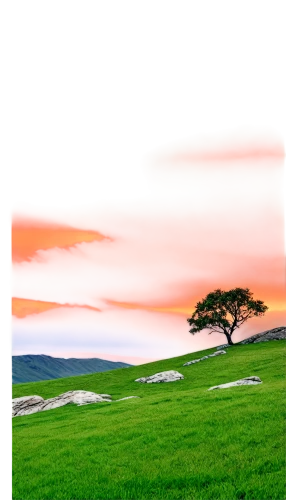 lone tree,isolated tree,landscape background,lonetree,golf course background,golf landscape,dune landscape,celtic tree,nature background,grassland,grasslands,green landscape,landscape red,nature landscape,arbre,dartmoor,landscape photography,bare tree,virtual landscape,background view nature,Illustration,Paper based,Paper Based 08