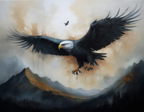 andean condor,eagle illustration,magpie,eagle drawing,black crow,black raven,magpies,fish eagle,african fish eagle,bird painting,bearded vulture,of prey eagle,giant sea eagle,magpie lark,raven bird,black vulture,condors,sea eagle,king of the ravens,arryn,Illustration,Abstract Fantasy,Abstract Fantasy 18