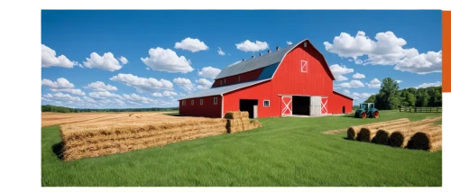 red barn,farm background,background vector,acreages,barnhouse,agriprocessors,cartoon video game background,farm landscape,barns,landscape background,hayloft,field barn,wheat crops,hay stack,3d background,photo painting,salatin,straw bale,corncrib,agriculturally,Illustration,Realistic Fantasy,Realistic Fantasy 25