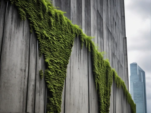 floodwall,9 11 memorial,concrete wall,water wall,concrete background,difc,wall,trellises,flower wall en,urban landscape,floodwalls,zumthor,titanum,hedge,battery gardens,world trade center,un building,verdure,hedwall,hedging,Illustration,Black and White,Black and White 28