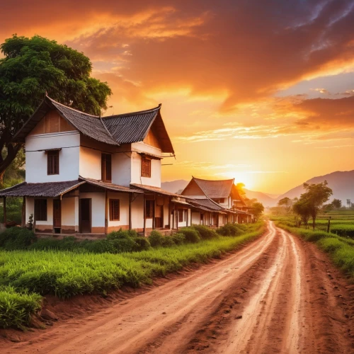 wooden houses,home landscape,lonely house,javanese traditional house,rural landscape,row of houses,inle,traditional house,vietnam,cambodia,houses silhouette,ancient house,landscape background,beautiful home,old house,siemreap,abandoned house,old houses,little house,landscape photography,Photography,General,Realistic
