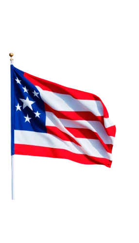 liberia,nusa,u s,ameri,estados,ukusa,lamerica,nerica,patriotically,amerada,united states of america,united state,jamerica,patriotas,amerio,americom,independance,boricua,usa,muricata,Conceptual Art,Daily,Daily 11