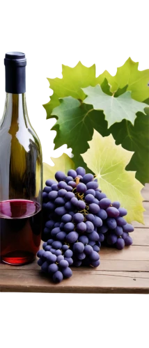 resveratrol,wood and grapes,viniculture,wine grapes,wine grape,winegrape,purple grapes,viticulture,sangiovese,barbera,merlots,vino,viticulturist,grapes,viticulturists,winegrowers,vineyard grapes,grape juice,carmenere,grape hyancinths,Illustration,Realistic Fantasy,Realistic Fantasy 05
