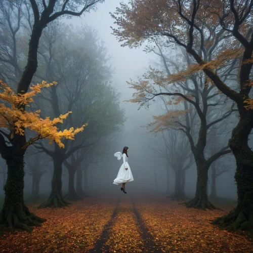 autumn fog,ballerina in the woods,autumn walk,autumn forest,the autumn,autumn scenery,girl with tree,foggy forest,forest path,falling on leaves,autumn background,tree lined path,autumn songs,ground fog,dense fog,woman walking,hossein,in the autumn,autumn,girl walking away,Photography,Artistic Photography,Artistic Photography 11