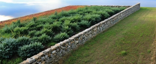 longwall,aileach,walling,stonewalls,clipped hedge,stone wall,stone fence,wall,city wall,cry stone walls,ramparts,castle wall,hedwall,old wall,stone wall road,nordwall,muraille,limestone wall,floodwalls,stonewalling,Photography,General,Realistic