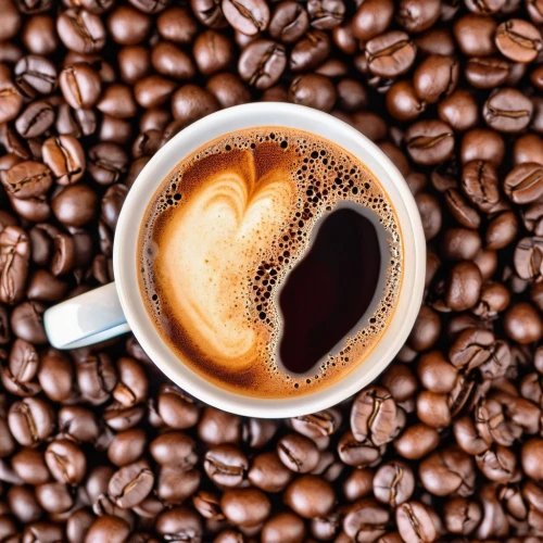coffee background,capuchino,espressos,a cup of coffee,expresso,espresso,cappucino,cappuccino,i love coffee,cappuccini,procaccino,cappuccio,americano,cup of coffee,kopi,cappuccinos,spaziano,muccino,coffee foam,caffra,Photography,General,Realistic