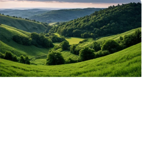 green wallpaper,green landscape,nature background,landscape background,green background,background view nature,greenness,green fields,rolling hills,green meadow,green valley,green,sunol,frog background,greener,aaaa,moravia,windows wallpaper,verdant,hills,Illustration,Realistic Fantasy,Realistic Fantasy 33
