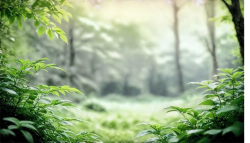green forest,green wallpaper,nature background,verdant,forest background,green landscape,greenery,background view nature,tropical forest,forestland,bamboo forest,greenness,aaaa,green background,forest,green trees,forest landscape,green summer,forest floor,forest plant,Illustration,Realistic Fantasy,Realistic Fantasy 45
