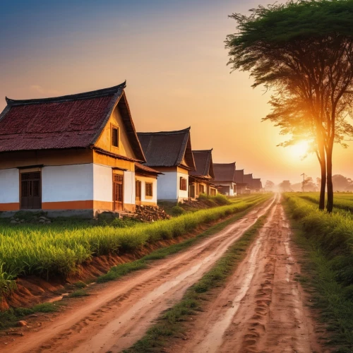 home landscape,wooden houses,rural landscape,row of houses,landscape background,houses silhouette,lonely house,inle,farm background,homesteaders,homesteading,paddy field,traditional house,homesteader,javanese traditional house,vietnam,houses clipart,rice fields,farm landscape,conveyancing,Photography,General,Realistic