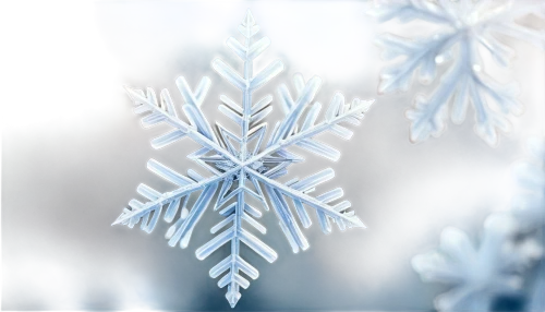 snowflake background,christmas snowflake banner,white snowflake,blue snowflake,snow flake,snowflake,ice crystal,winter background,christmas snowy background,snowflakes,snow crystals,snow flakes,frostiness,frostily,gold foil snowflake,frosts,frostbitten,christmasbackground,crystalize,dendrites,Photography,Documentary Photography,Documentary Photography 22