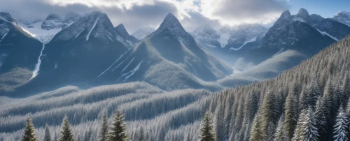 snowy mountains,snowy peaks,snow mountains,mountains snow,mountainous landscape,mountainsides,icewind,mountains,mountain landscape,coniferous forest,gondolin,landscape mountains alps,mountain scene,mountain valleys,spruce forest,moutains,snow landscape,mountain ranges,high mountains,tirith,Photography,General,Realistic