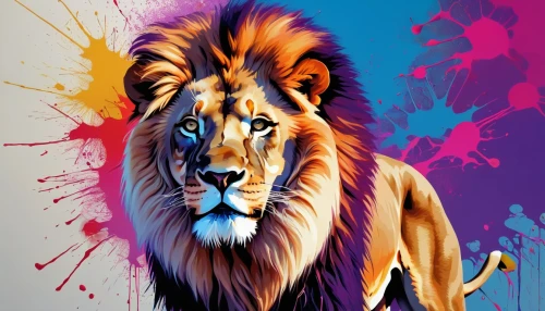 panthera leo,aslan,tigon,lion,tigar,lion white,panthera,african lion,lionheart,leonine,lionni,leones,tigr,wpap,simha,ruge,magan,lionnet,lion number,harimau,Photography,General,Realistic