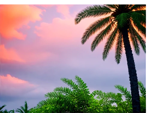 palm forest,palms,tropical house,subtropical,tropics,palm tree,pantropical,palm pasture,tropical island,palm trees,palmtree,tropic,coconut palms,palmtrees,two palms,intertropical,royal palms,palm,neotropical,cuba background,Illustration,Retro,Retro 26
