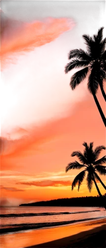 palm tree silhouette,sunset beach,tropical beach,tropical house,barotropic,pink beach,tropic,tropicale,palm tree,tropical sea,coast sunset,dream beach,palm,tropics,tropicalia,palm silhouettes,palms,cabarete,hawai,paradises,Illustration,Black and White,Black and White 04
