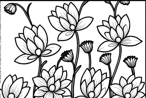 coloring pages,coloring page,illustration of the flowers,flower line art,floral silhouette border,flowers png,floral border paper,floral border,flowers pattern,art deco border,flower illustration,botanical line art,wood daisy background,flower drawing,snowdrop anemones,bloodroot,floral background,tulip background,coloring pages kids,floral digital background,Design Sketch,Design Sketch,Rough Outline