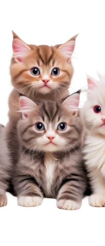 pussycats,catterns,kittens,cat family,georgatos,kittenish,thunderclan,cat pageant,cat vector,gatos,vintage cats,cats angora,kupets,cats,cat image,kitties,catsoulis,cute cat,catterson,befuddles,Conceptual Art,Daily,Daily 16