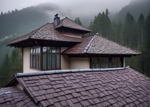 roof landscape,tiled roof,house roofs,house roof,wooden roof,house in mountains,slate roof,rooflines,roof tiles,roof domes,roofs,house in the mountains,dormer,roofline,roofed,metal roof,roofing,roof,roof plate,northern black forest,Illustration,Paper based,Paper Based 29