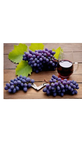 purple grapes,blue grapes,wood and grapes,wine grape,wine grapes,winegrape,grapes,grape vine,vineyard grapes,table grapes,fresh grapes,resveratrol,red grapes,viniculture,grapevines,sangiovese,barbera,grape hyancinths,vino,grape,Art,Classical Oil Painting,Classical Oil Painting 28