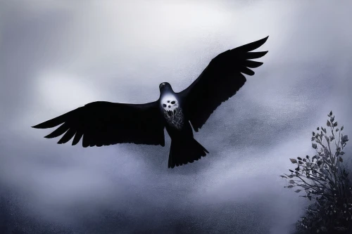 black crow,raven bird,corvid,crow,magpie,pied crow,black raven,corvidae,corvus,nocturnal bird,black bird,corbeau,seedeater,crows bird,crow queen,nevermore,carrion crow,scare crow,night bird,karasu,Illustration,Abstract Fantasy,Abstract Fantasy 14